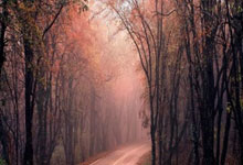 [网球]张之臻排名男单亚洲第一.