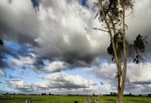 [网球]张之臻排名男单亚洲第一.