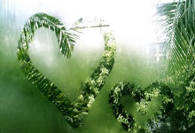 壹号娱乐下载：拜仁旧将：若保持欧冠1／8决赛对阵药厂的状态，.