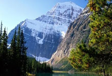 壹号娱乐下载：字母哥41+9+8雄鹿力克公牛 骑士大胜鹈鹕.