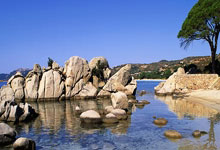 祝贺！中国队集齐两组金牌九宫格央视新闻客户端.